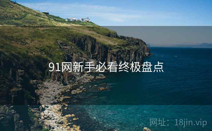 91网新手必看终极盘点