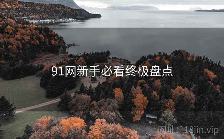 91网新手必看终极盘点