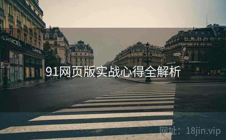 91网页版实战心得全解析