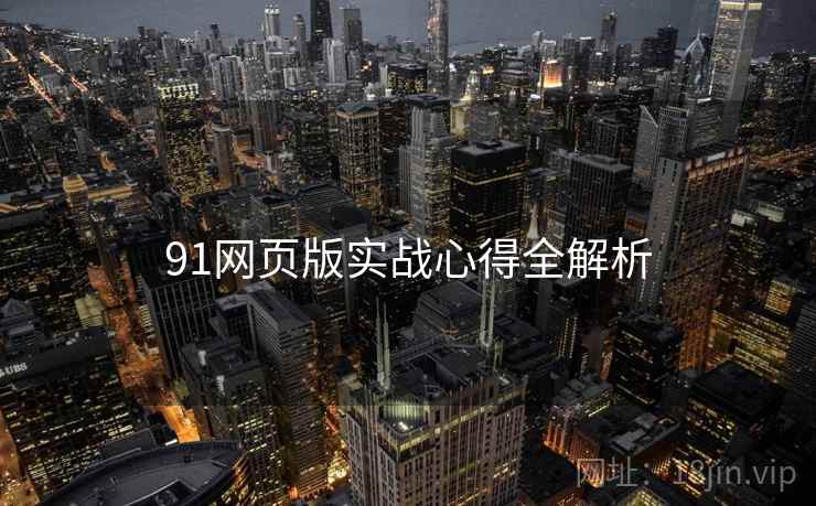 91网页版实战心得全解析
