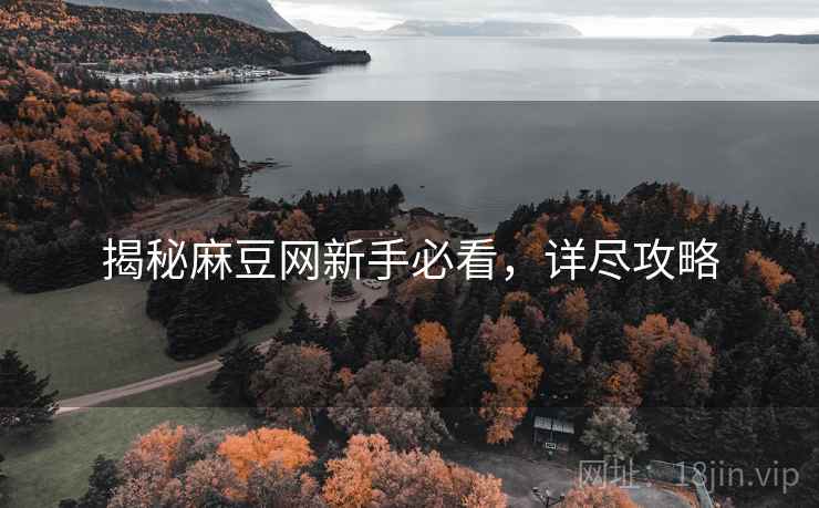 揭秘麻豆网新手必看，详尽攻略