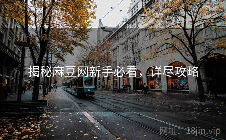 揭秘麻豆网新手必看，详尽攻略