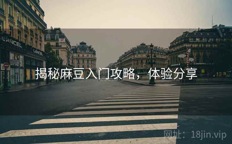 揭秘麻豆入门攻略，体验分享