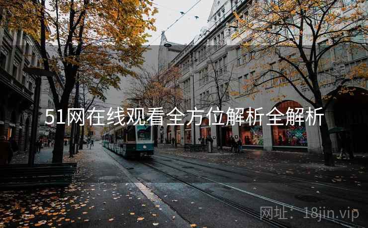 51网在线观看全方位解析全解析