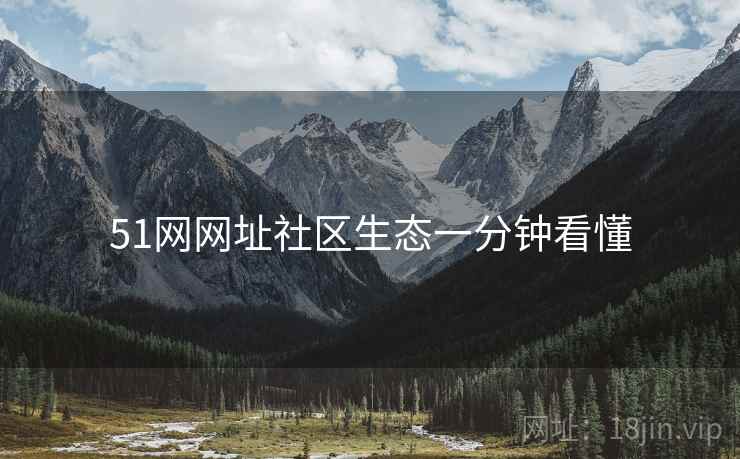 51网网址社区生态一分钟看懂