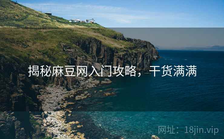 揭秘麻豆网入门攻略，干货满满