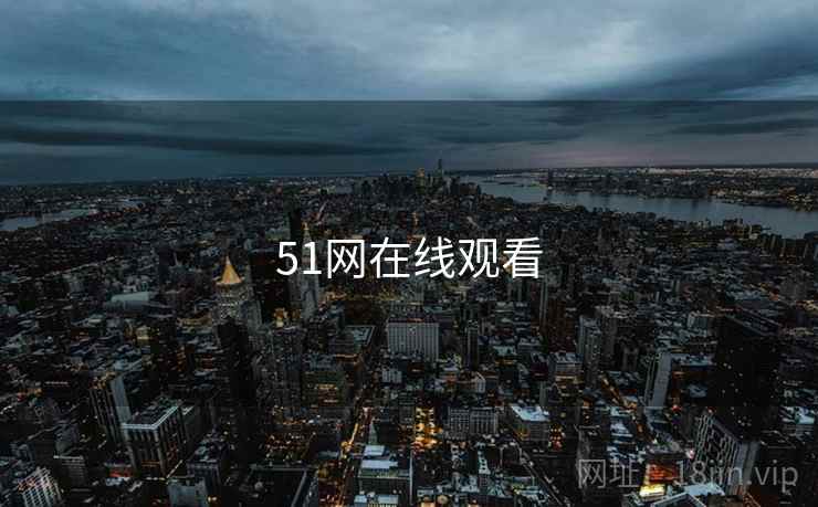 51网在线观看