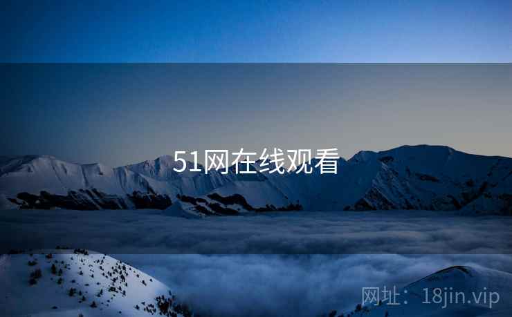 51网在线观看