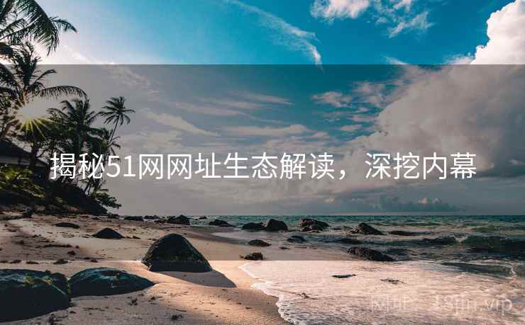 揭秘51网网址生态解读，深挖内幕