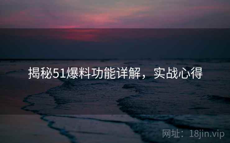 揭秘51爆料功能详解，实战心得