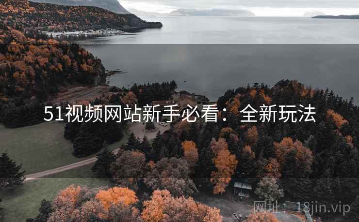 51视频网站新手必看：全新玩法