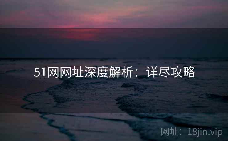 51网网址深度解析：详尽攻略