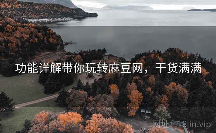 功能详解带你玩转麻豆网，干货满满