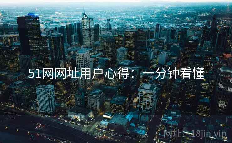 51网网址用户心得：一分钟看懂