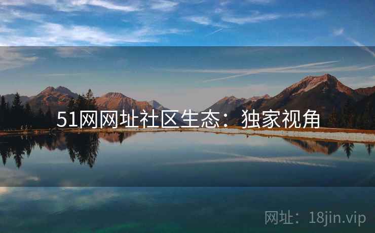 51网网址社区生态：独家视角
