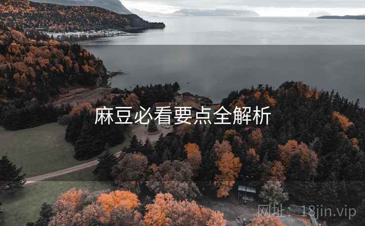 麻豆必看要点全解析