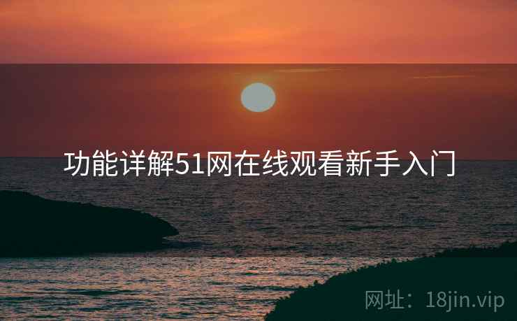 功能详解51网在线观看新手入门