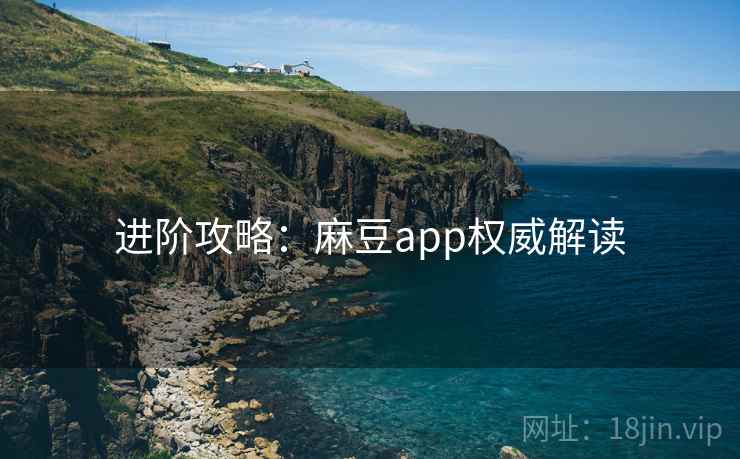 进阶攻略：麻豆app权威解读