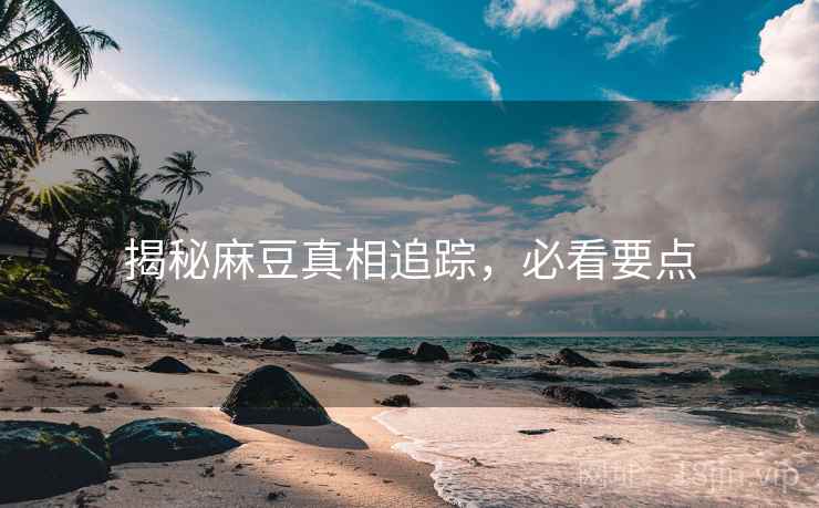 揭秘麻豆真相追踪，必看要点