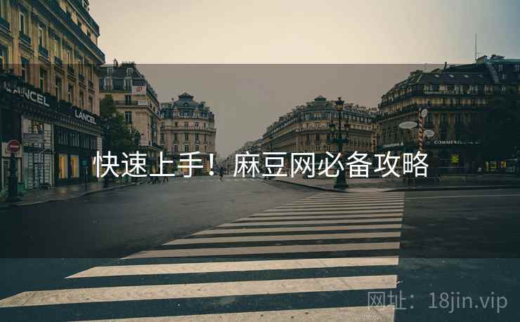 快速上手！麻豆网必备攻略