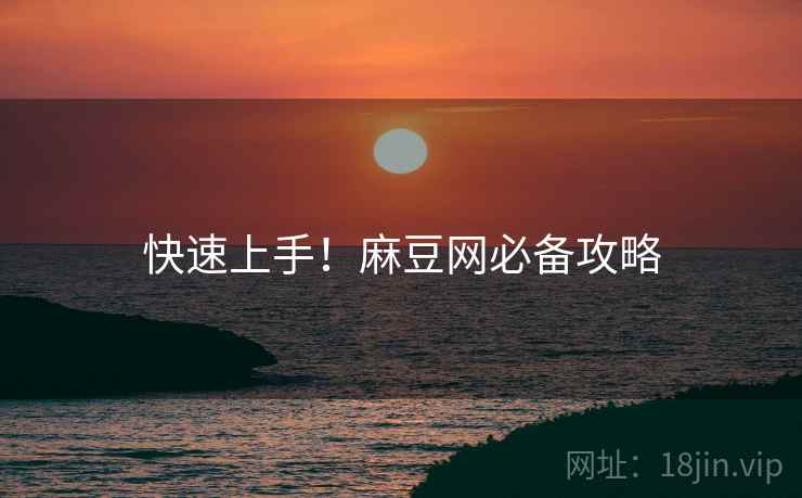 快速上手！麻豆网必备攻略