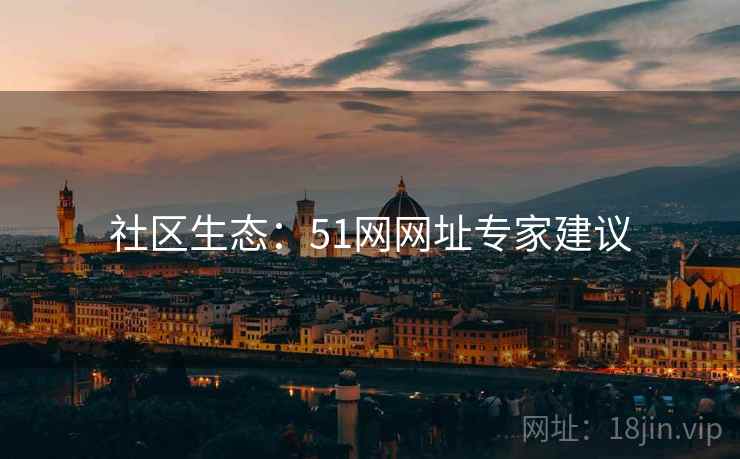 社区生态：51网网址专家建议