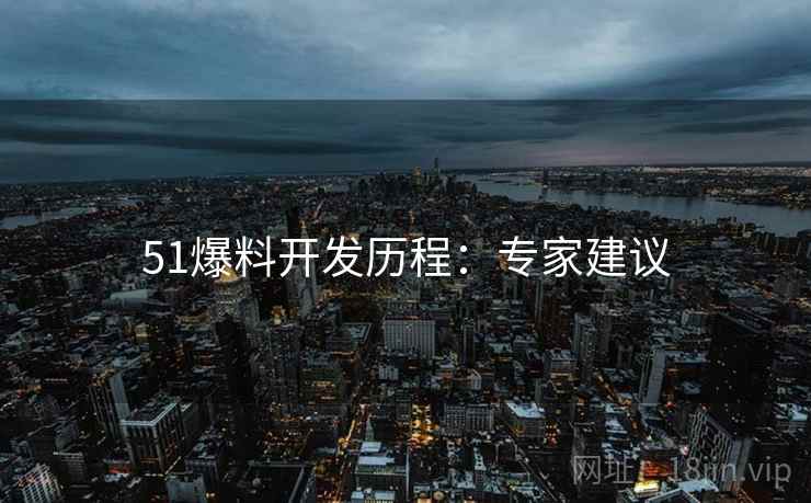 51爆料开发历程：专家建议