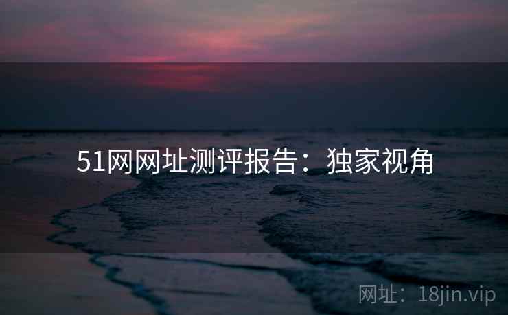 51网网址测评报告：独家视角