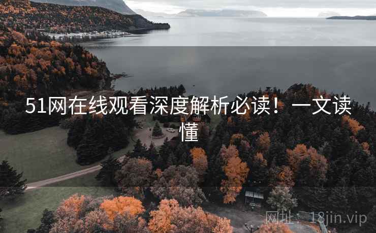 51网在线观看深度解析必读！一文读懂