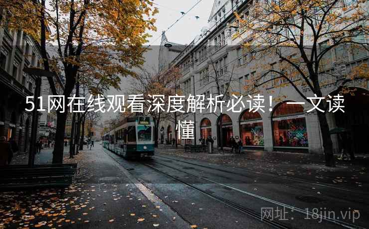 51网在线观看深度解析必读！一文读懂
