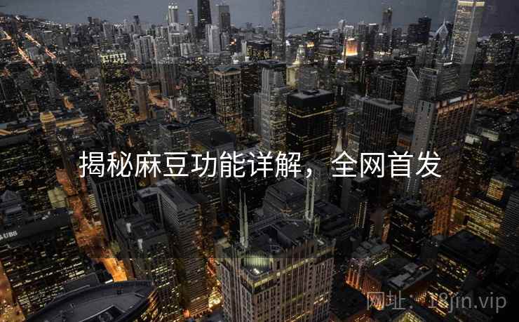 揭秘麻豆功能详解，全网首发