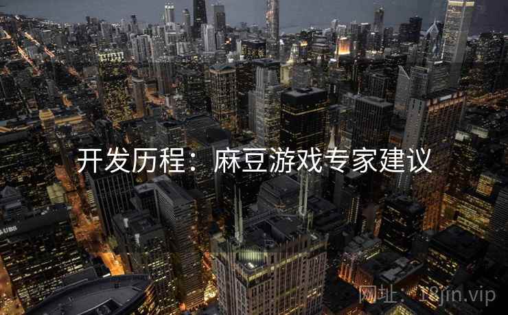 开发历程：麻豆游戏专家建议