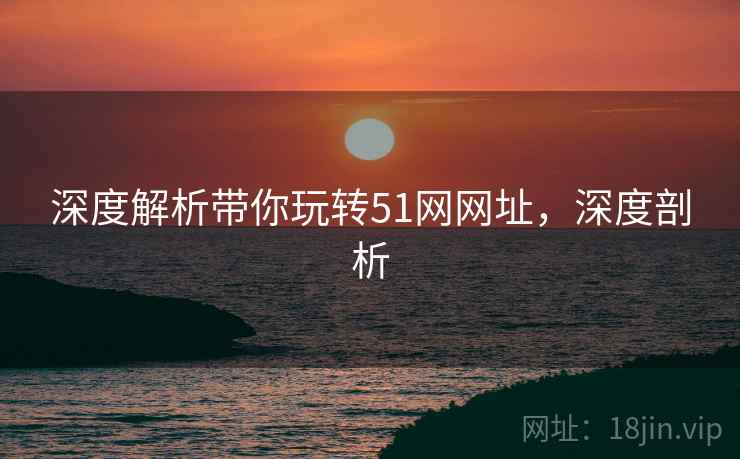 深度解析带你玩转51网网址，深度剖析