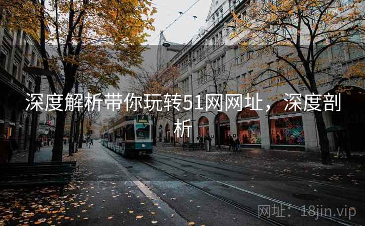 深度解析带你玩转51网网址，深度剖析