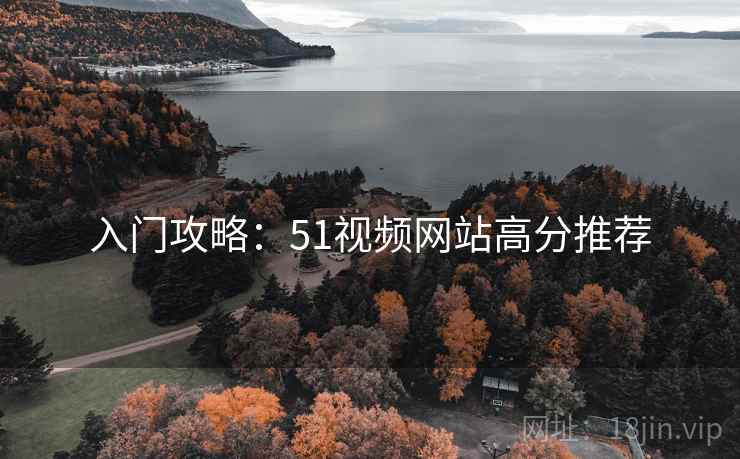 入门攻略：51视频网站高分推荐