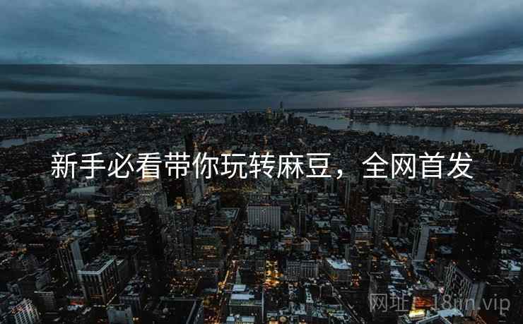 新手必看带你玩转麻豆，全网首发