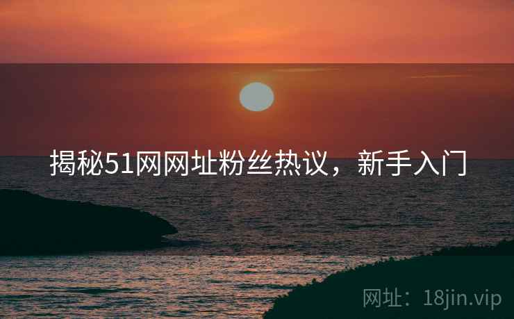揭秘51网网址粉丝热议，新手入门