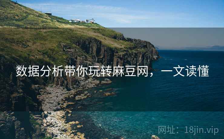 数据分析带你玩转麻豆网，一文读懂