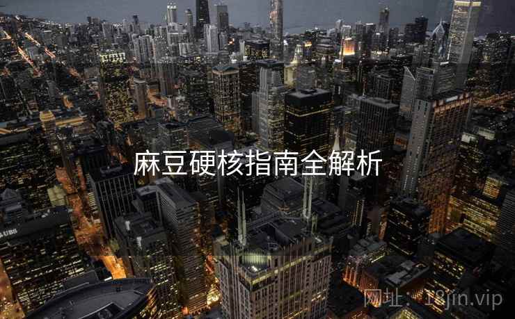麻豆硬核指南全解析