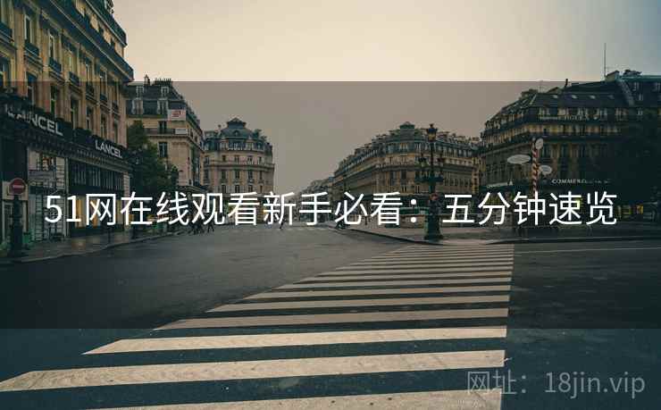 51网在线观看新手必看：五分钟速览