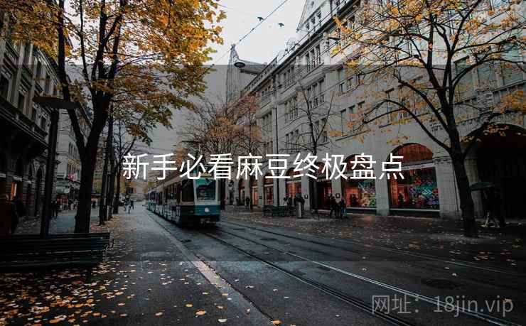 新手必看麻豆终极盘点