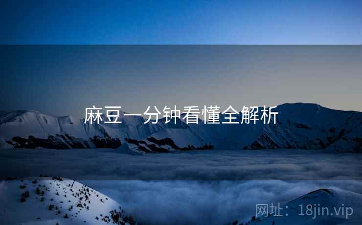 麻豆一分钟看懂全解析